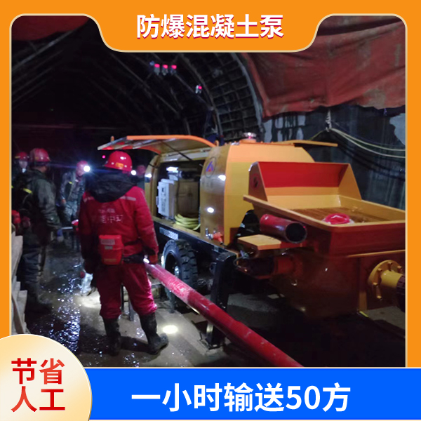 防爆混凝土泵.jpg