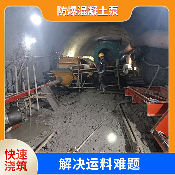 防爆混凝土泵.jpg